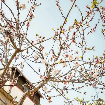Magnolia Con Giardino Feriehus Bari