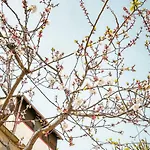 Magnolia Con Giardino Vakantiehuis Bari