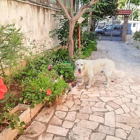 Magnolia Con Giardino * Bari